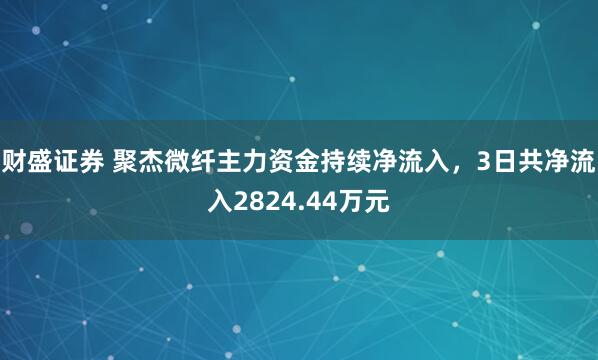 财盛证券 聚杰微纤主力资金持续净流入，3日共净流入2824.44万元