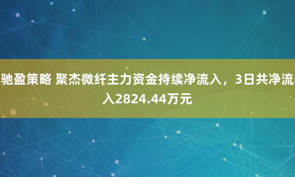 驰盈策略 聚杰微纤主力资金持续净流入，3日共净流入2824.44万元