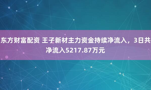 东方财富配资 王子新材主力资金持续净流入，3日共净流入5217.87万元