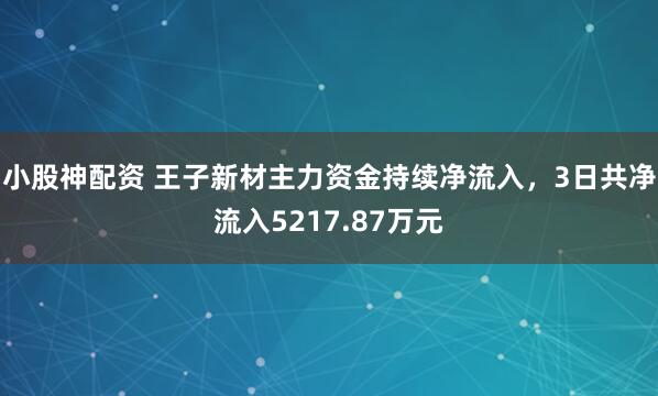 小股神配资 王子新材主力资金持续净流入，3日共净流入5217.87万元