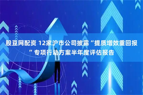 股豆网配资 12家沪市公司披露“提质增效重回报”专项行动方案半年度评估报告