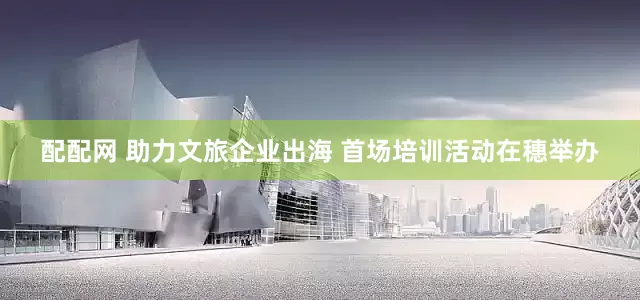 配配网 助力文旅企业出海 首场培训活动在穗举办