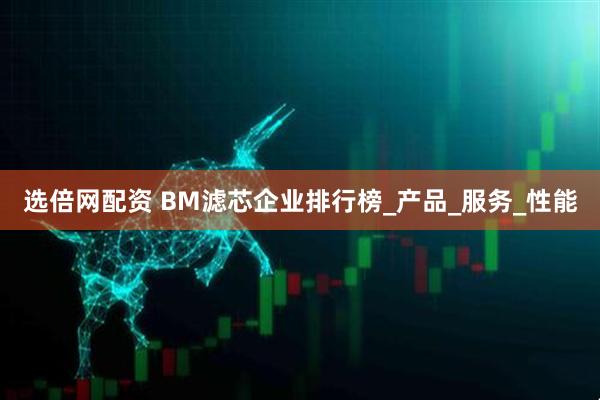 选倍网配资 BM滤芯企业排行榜_产品_服务_性能
