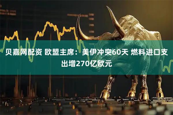 贝嘉网配资 欧盟主席：美伊冲突60天 燃料进口支出增270亿欧元